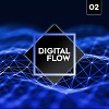 Digital Flow 02
