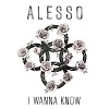 Alesso feat. Nico  Vinz - I Wanna Know (Alesso x Deniz Koyu Remix)