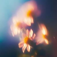 Nick Warren Exclusive Mix - November 2025