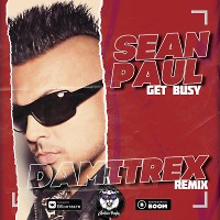 Sean Paul - Get Busy (Damitrex Remix) Radio Edit