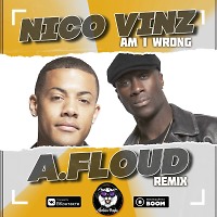 Nico Vinz - Am I Wrong (A.Floud Remix)