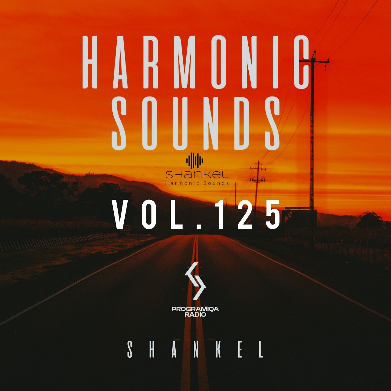 DJ.ru Микс: Shankel — Harmonic Sounds. Vol.125 episode artwork