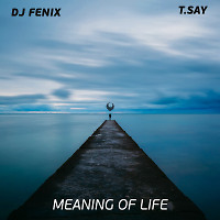 Meaning of Life (feat. T.Say) (Radio Dub Mix)