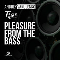 Andrey Vakulenko vs Tiga Pleasure From the Bass (2018 mix)
