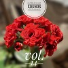 Harmonic Sounds. Vol.14