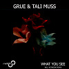 GRUE & Tali Muss - What You See (Original Mix)