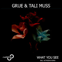 GRUE & Tali Muss - What You See (Original Mix)