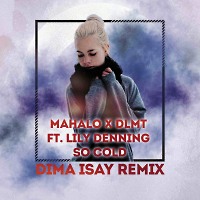 Mahalo x DLMT ft. Lily Denning  – So Cold (Dima Isay Remix)