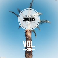 Harmonic Sounds. Vol.20 The road to the dream