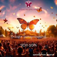 Tribute Tomorrowland 2011-2014