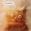 Insight