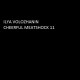 Ilya Volozhanin - Cheerful meatshoсk 11