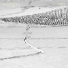 Sergio Large - OLDTOOLS#132