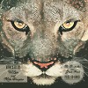The Bestseller & Grove Park - Feel So Good (Original Mix)