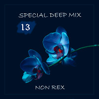 Special Deep Mix - 013