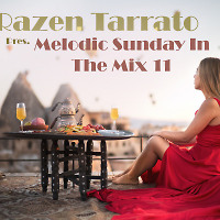 Melodic Sunday In The Mix 11