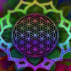 Oriental Motives