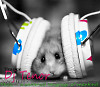 Lost Language (Radio edit)