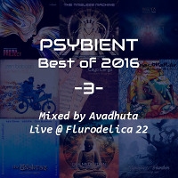 Psybient: Best of 2016, Vol.3 (Live @ Flurodelica 22)
