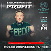 Bassland Show @ DFM (27.05.2020)