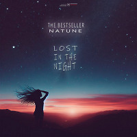 The Bestseller, Natune - Lost In The Night (Extended Mix)