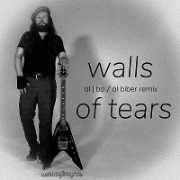 Walls Of Tears (al biber remix)