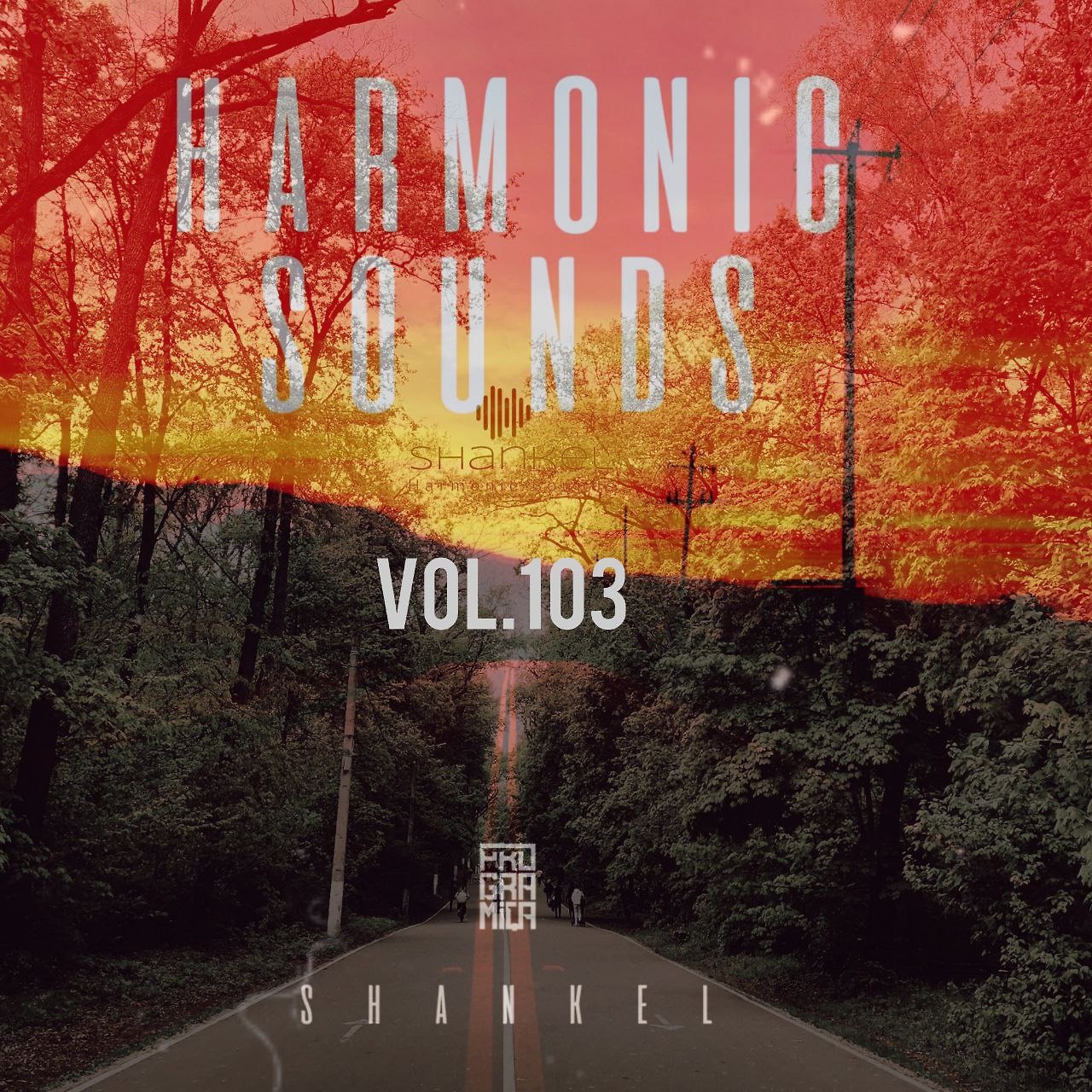 DJ.ru Микс: Shankel — Harmonic Sounds. Vol.103 episode artwork