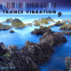 DJ Maksim Ox - Trance Vibration vol.9