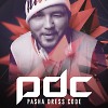 David Guetta feat. Saweetie - I'm That Bitch (PDC Remix)