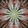 Kazarsky - Organic Attack (INFINITY ON MUSIC)