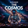 The Cosmos