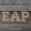 Electronic Avenue Podcast (Episode 040)