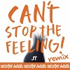 Justin Timberlake - Can't Stop The Feeling (Liya Fran & WilyamDeLove remix)