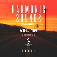 Harmonic Sounds. Vol.134 (Downtempo mix)