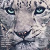 Sharapov - Story (Wrigley Remix)