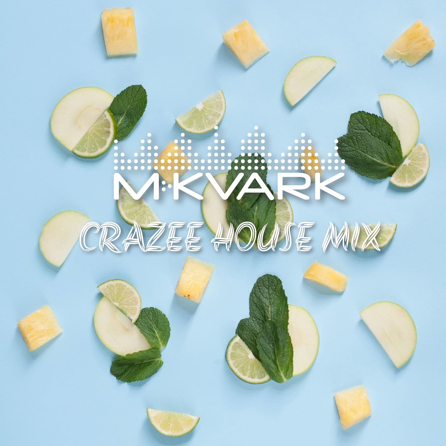 CRAZEE HOUSE MIX