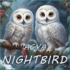 Nightbird