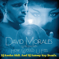 David Morales-How Would You Feel(Sasha ShiL And Antony Key Remix)