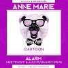 Anne Marie - Alarm ( Mike Temoff Alex Pushkarev Remix) 