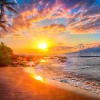Endless summer