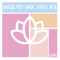 GRIN - NICE TO MIX YOU 3 (Organic House mix)