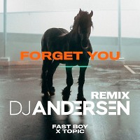 Fast Boy feat. Topic - Forget You (DJ Andersen Remix)