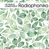 Heyspace & HungryBeat - Radiophonika #173