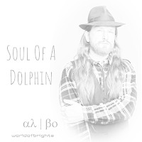 Soul Of A Dolphin (NOFX Dry Acapella) 80 or 160 bpm, F# Moll