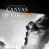 Canvas Of Colors SRL