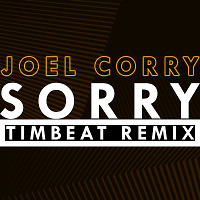 Joel Corry - Sorry (TimBeat Remix)