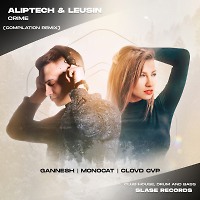 Aliptech & Leusin - Crime (Gannesh Remix)