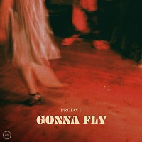 Gonna Fly (Extended Mix)
