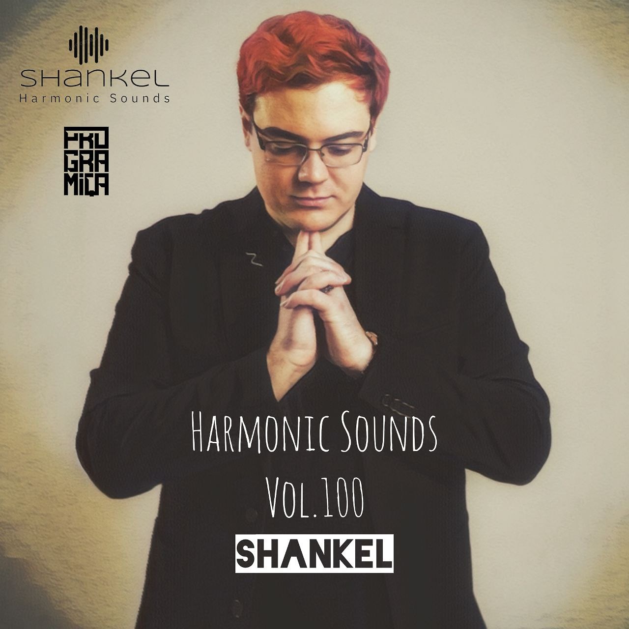 DJ.ru Микс: Shankel — Harmonic Sounds. Vol.100 episode artwork