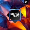 Digital Flow 01